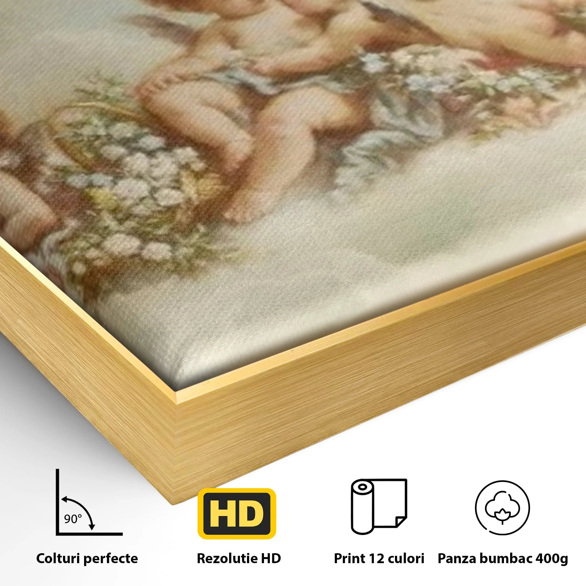 Detaliu al suprafetei: pictura canvas cu ingerase pe nori, in rama de aluminiu auriu